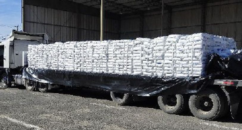 carga consolidada y break bulk